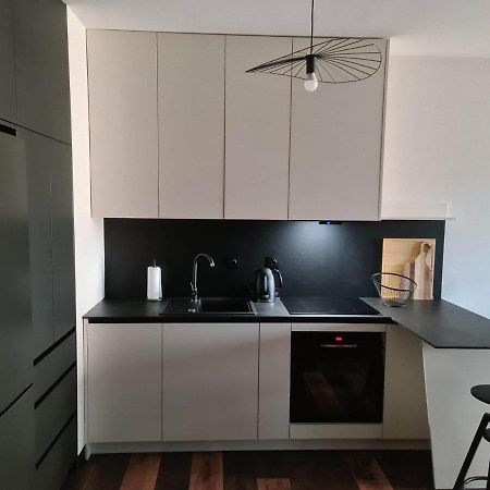 Copper Apartment Free Parking Wrocław Eksteriør billede