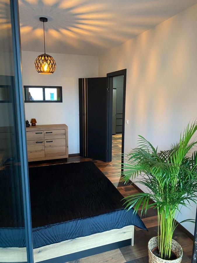 Copper Apartment Free Parking Wrocław Eksteriør billede